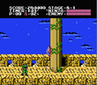 http://www.consoleclassix.com/info_img/Ninja_Gaiden_NES_ScreenShot2.jpg